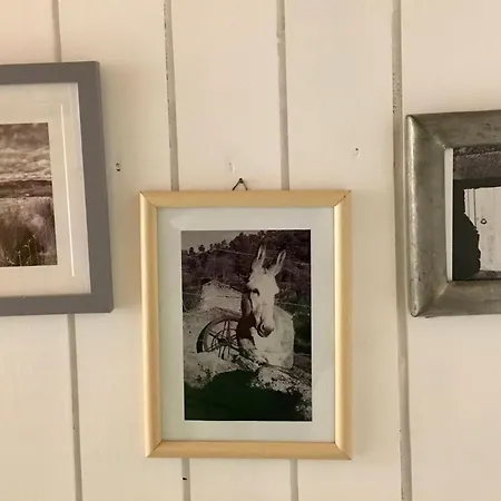 Casa 5 Cruzes Dentro Da Muralha * Sortelha