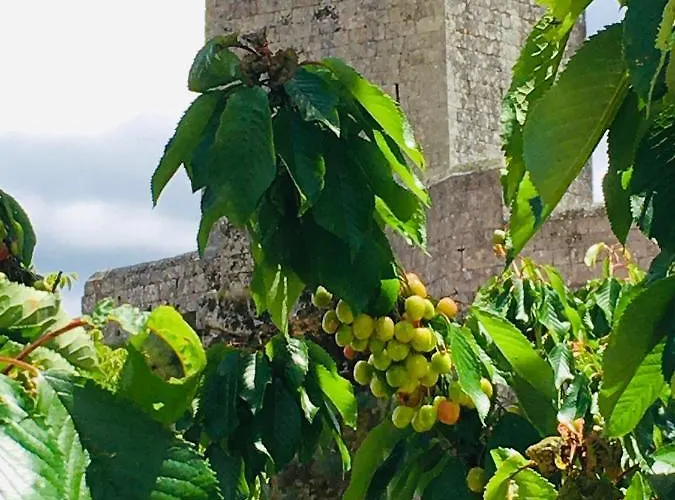 Casa 5 Cruzes Dentro Da Muralha *