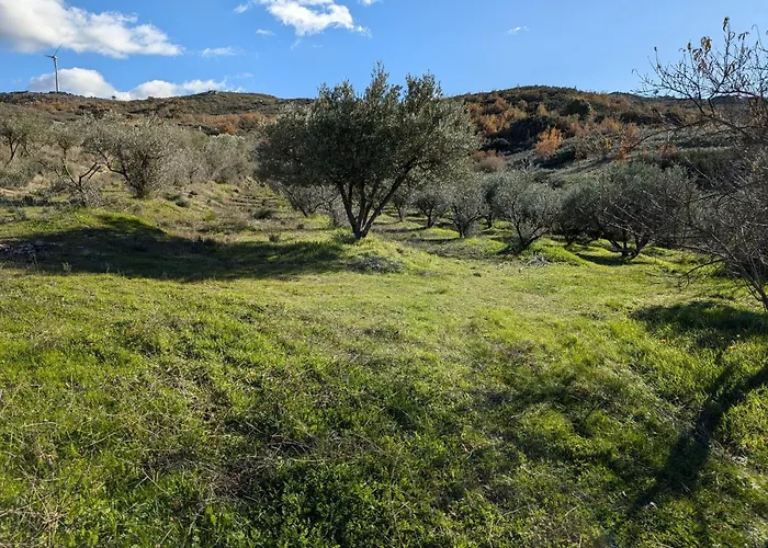 Casa vacanze Casa 5 Cruzes Dentro Da Muralha